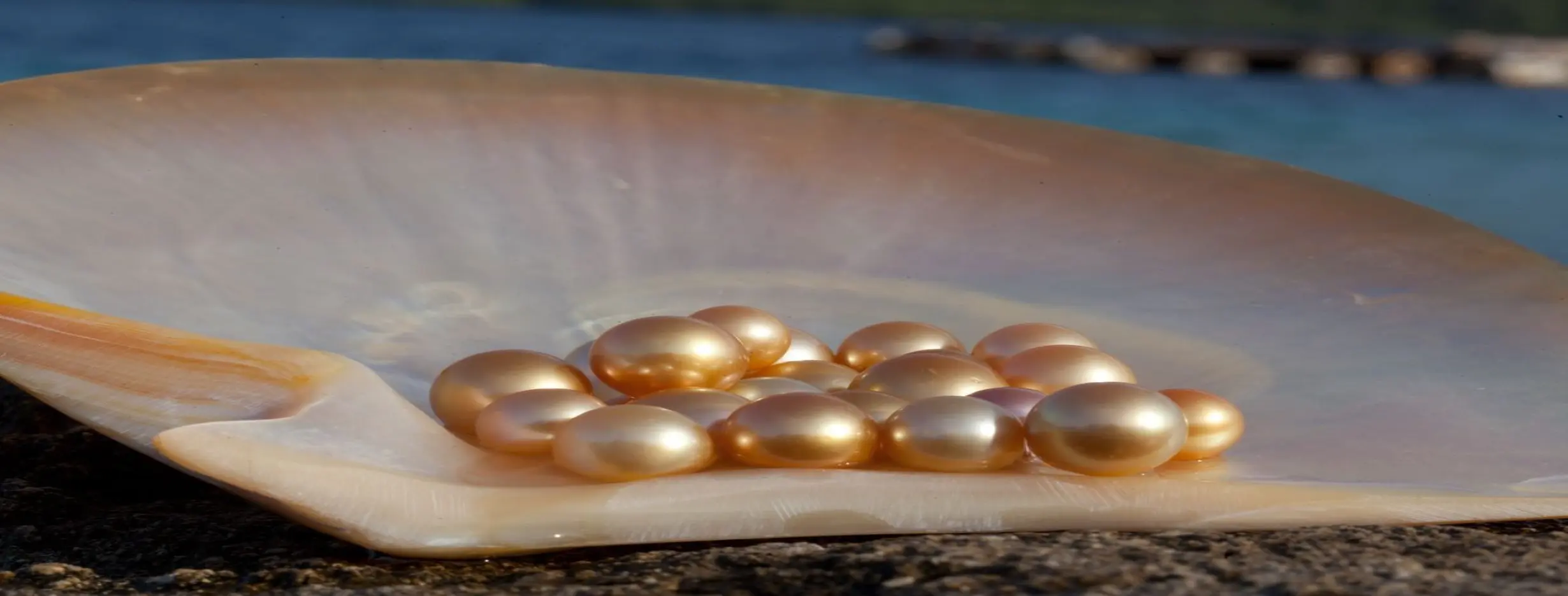 Image for Pearl Shopping